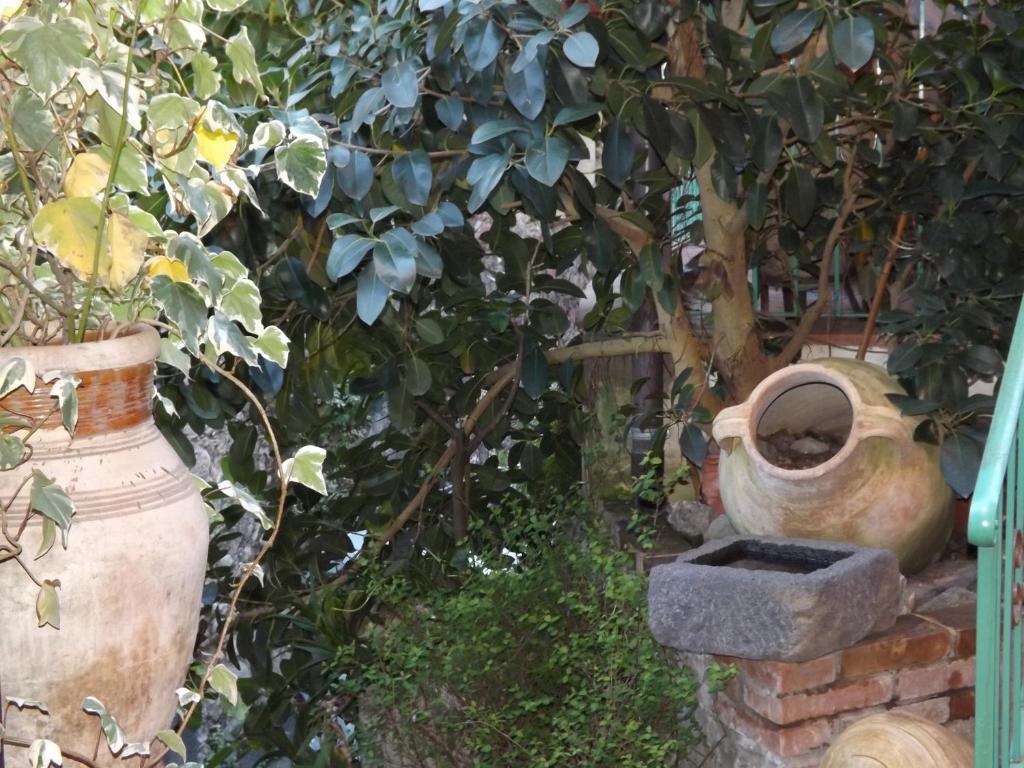 Albergo Diffuso Borgo Santa Caterina "Vintage" Castiglione De Sicilia Exteriér fotografie